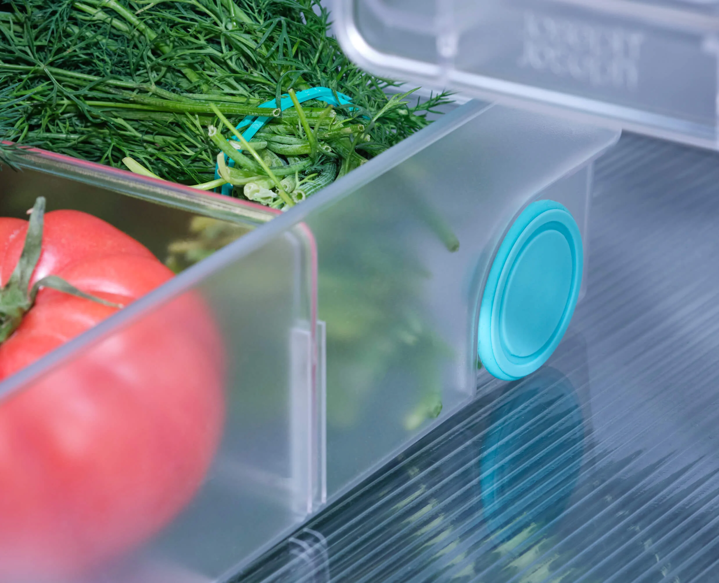 Bac Compartimenté Pour Réfrigérateur Extra Grand FridgeStore™ - Image 5